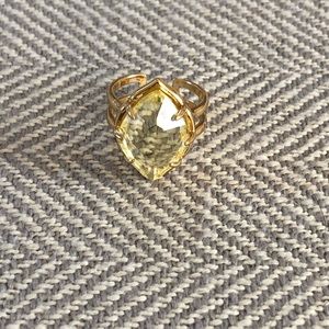 Stella & Dot Arabesque Cocktail Ring